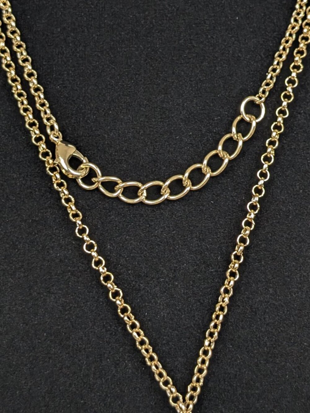 CC Skye Belcher Chain Darkened Tassel Necklace - Picture 5 of 6